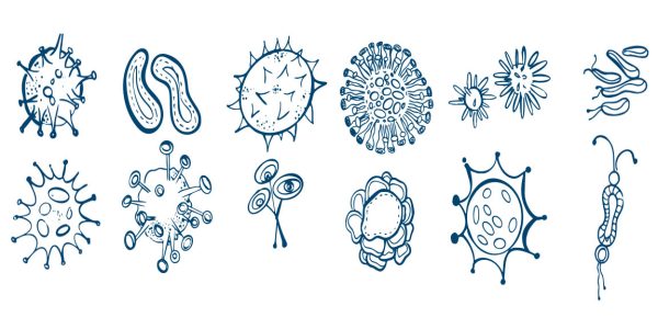 میکروارگانیسم یا میکروب